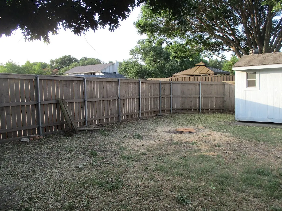 Cleared yard after professional tree removal in Blanchard