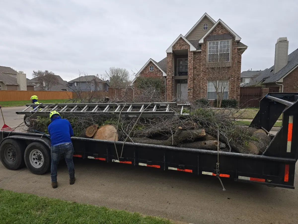 Expert Tree Fertilization with proper safety equipment in Blanchard